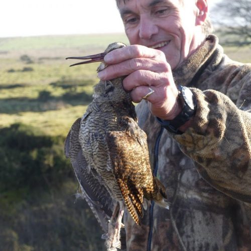 Bécasse et Petit Gibier en Angleterre