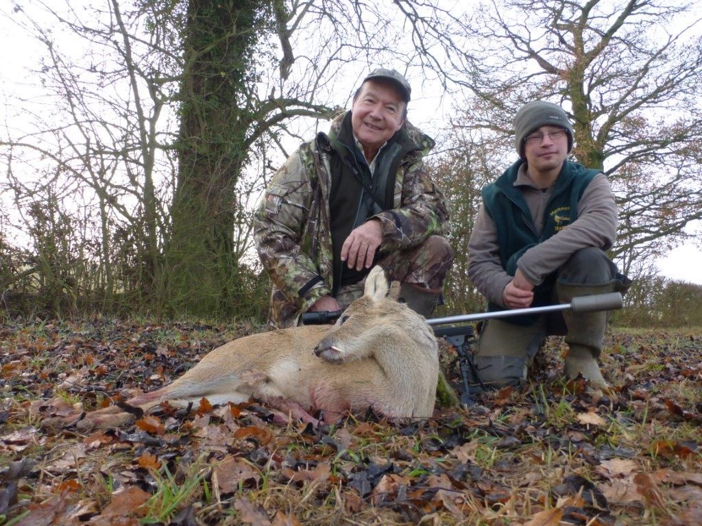 Muntjac et Chinese Water Deer (Hydropote) en Angleterre – Image 11
