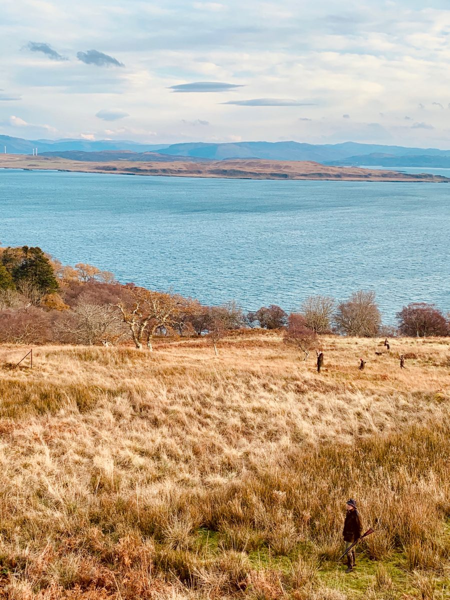 Chasse de rêve au petit gibier sur une île d'Ecosse – Image 5