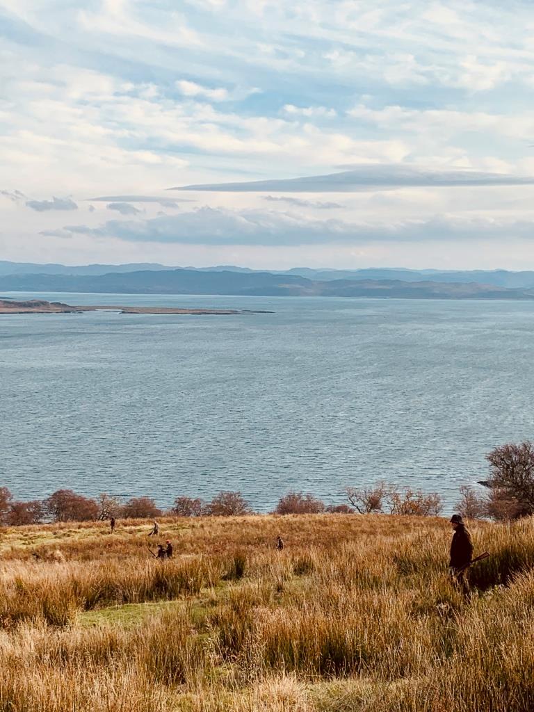 Chasse de rêve au petit gibier sur une île d'Ecosse – Image 3