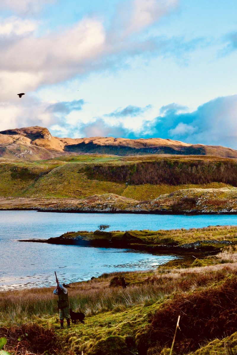 Chasse de rêve au petit gibier sur une île d'Ecosse