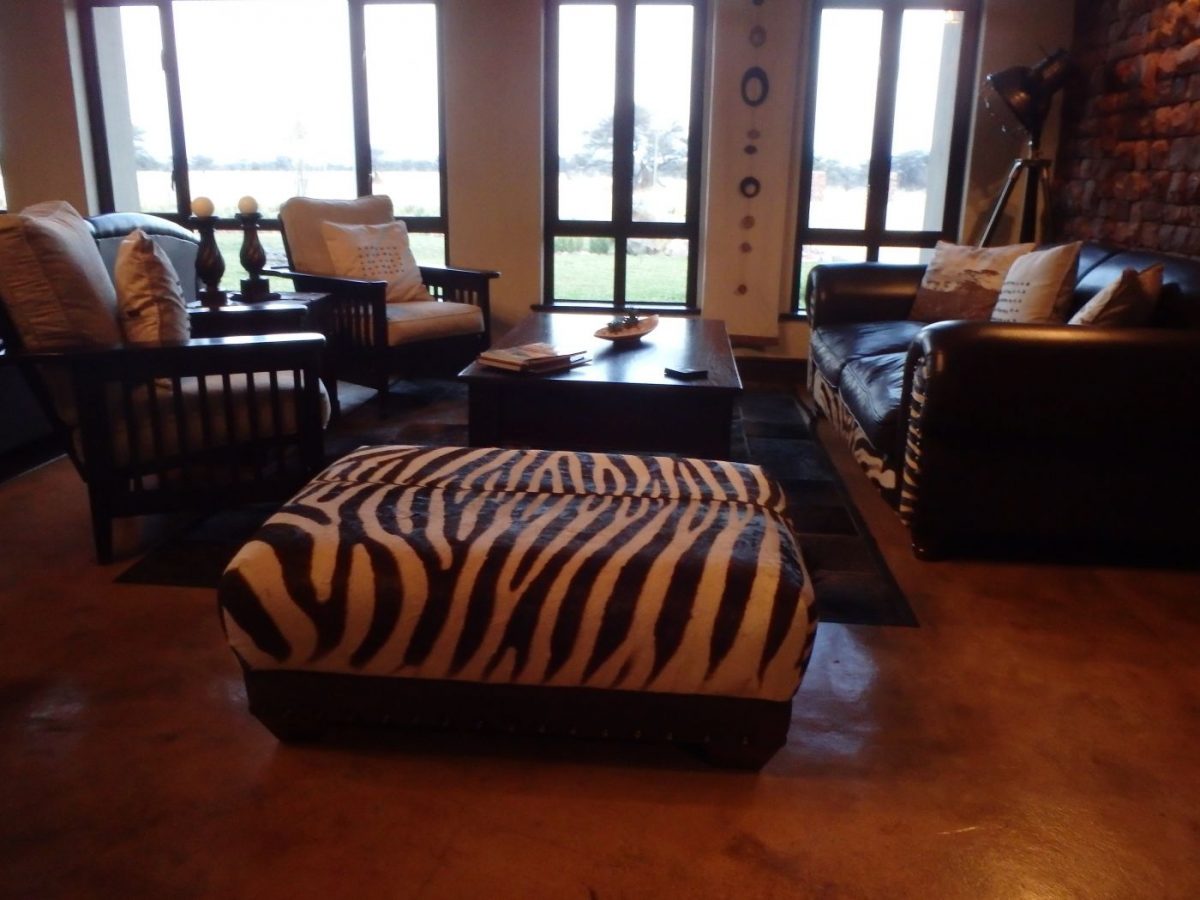 Safari - package 4 animaux - Namibie – Image 2