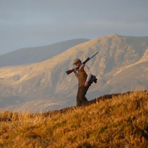 Chasse du petit gibier en Ecosse - Rough shooting