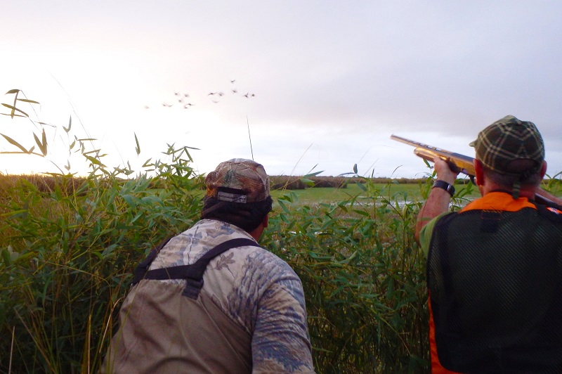 Chasse du petit gibier à San Javier – Image 7