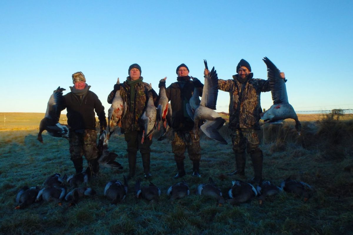 tableau de chasse avec des oies