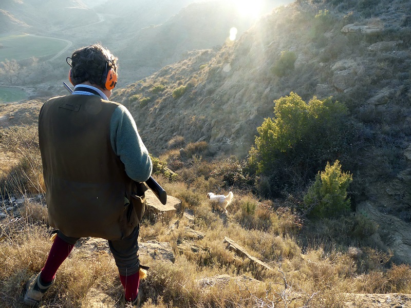 Chasse du perdreaux au chien d'arrêt en Espagne - Secteur Huesca – Image 2