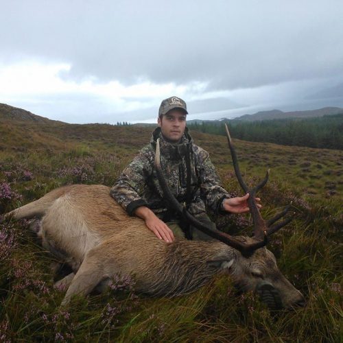 Chasse du Cerf à l'approche en Écosse