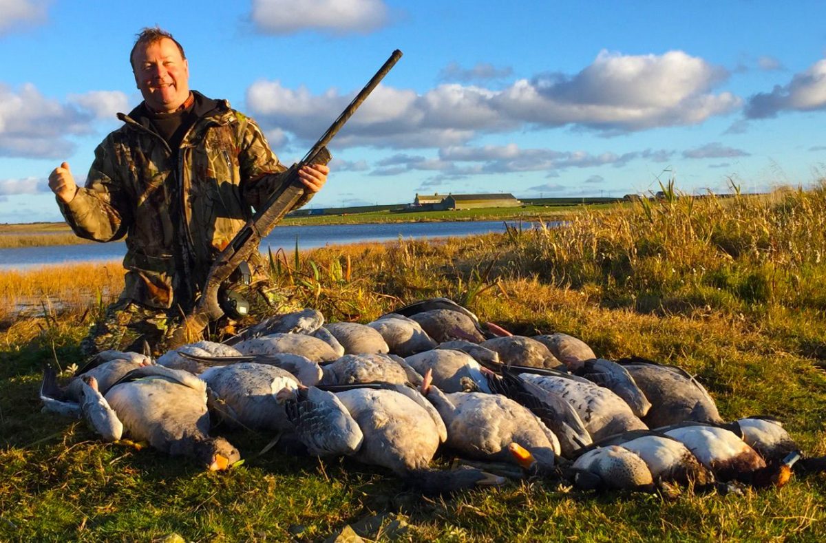 tableau de chasse d'oies