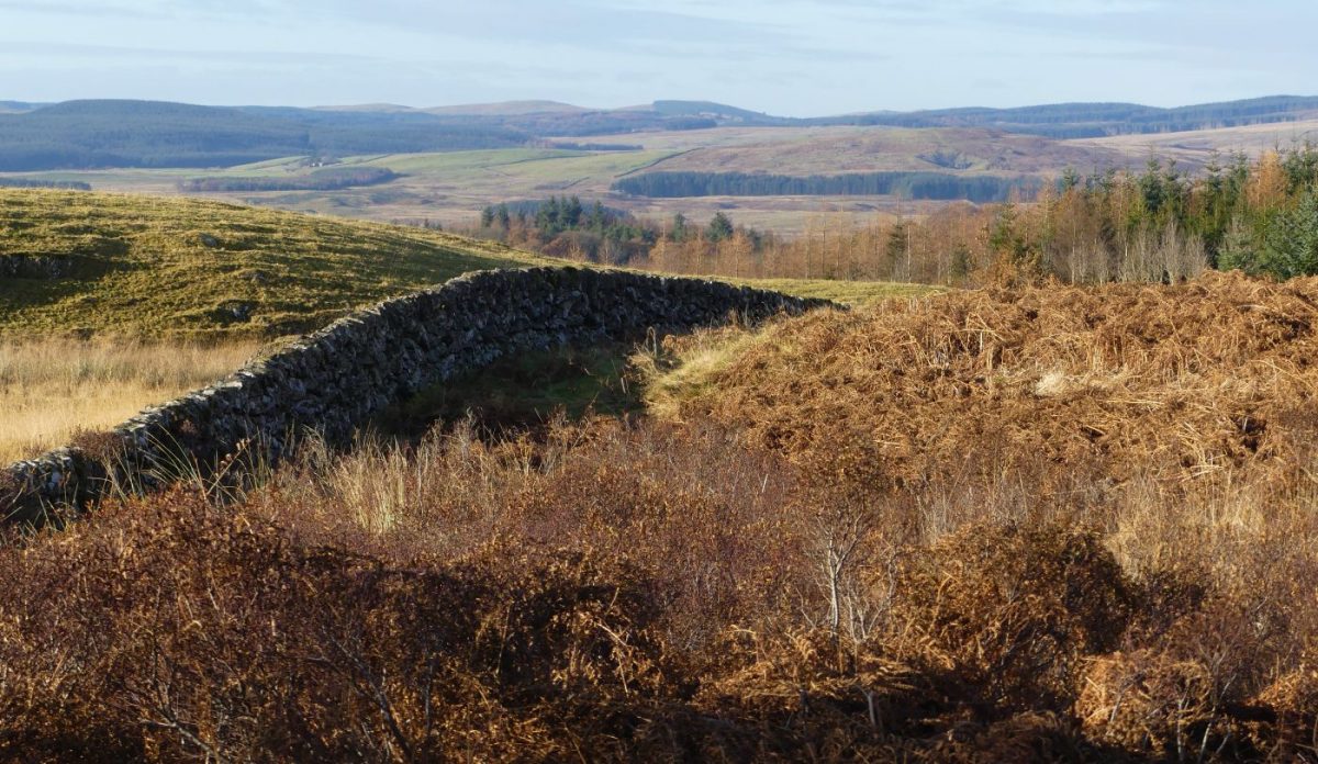 Paysage de chasse en Écosse