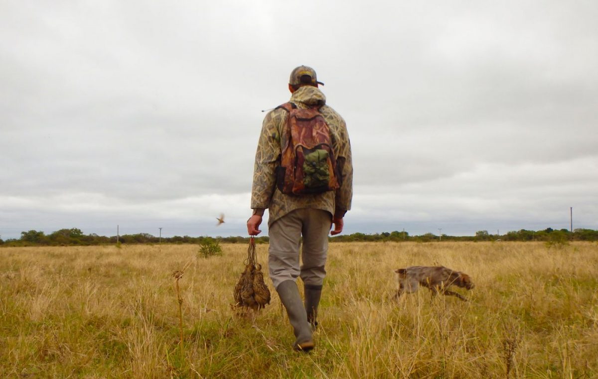 Chasse du petit gibier à San Javier – Image 3