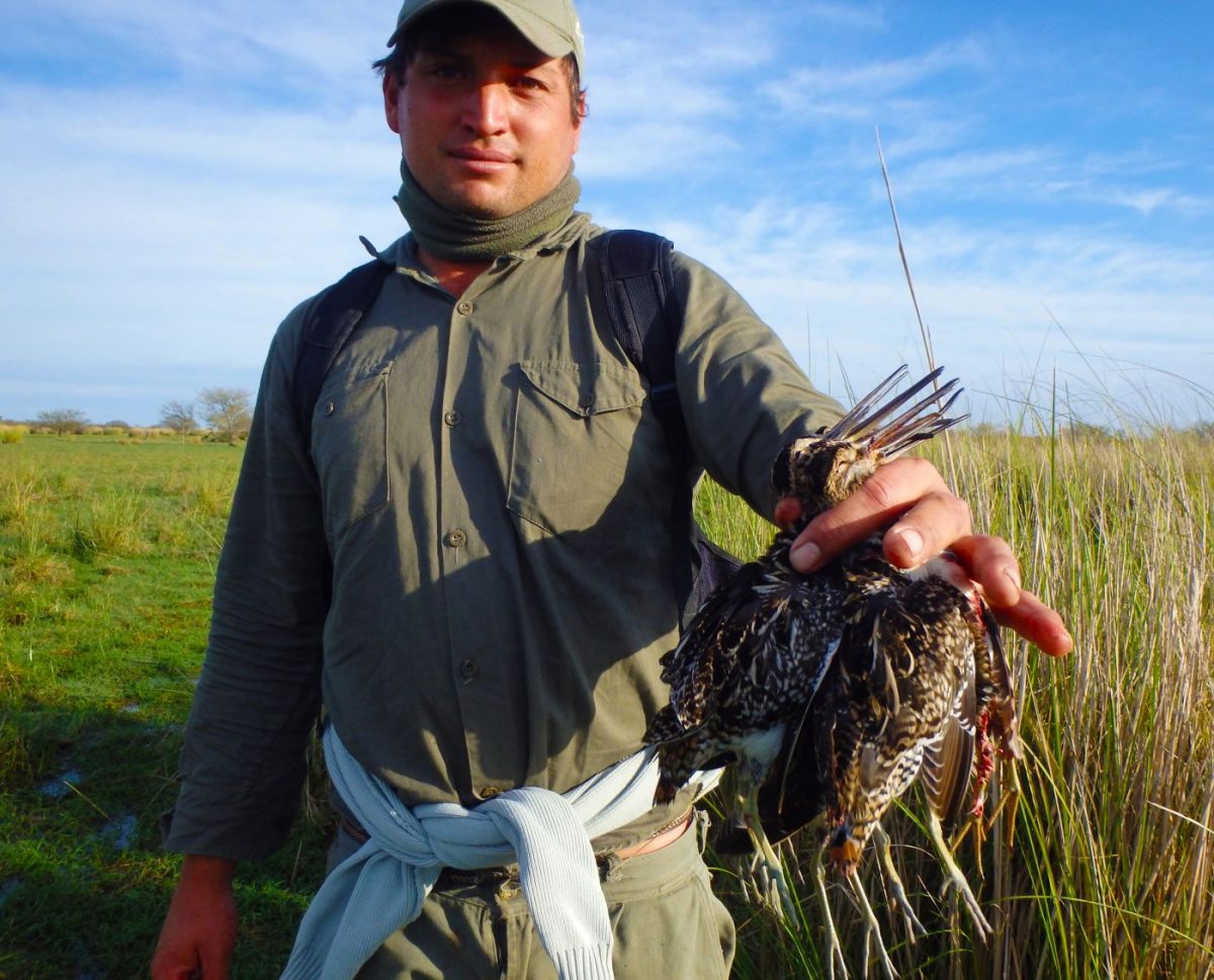Chasse du petit gibier à San Javier