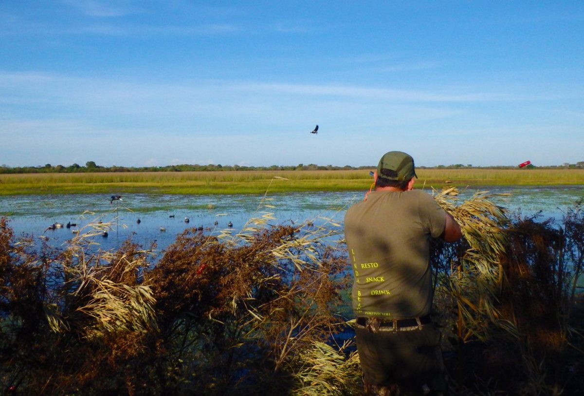 Chasse du petit gibier à San Javier – Image 4