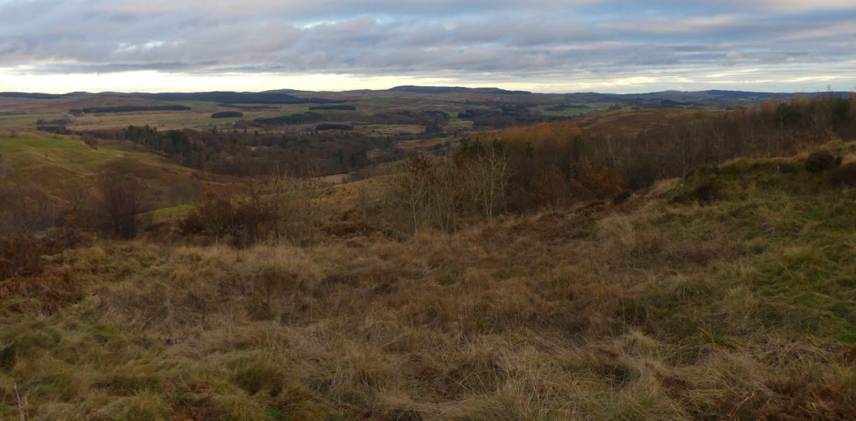 Paysage écossais