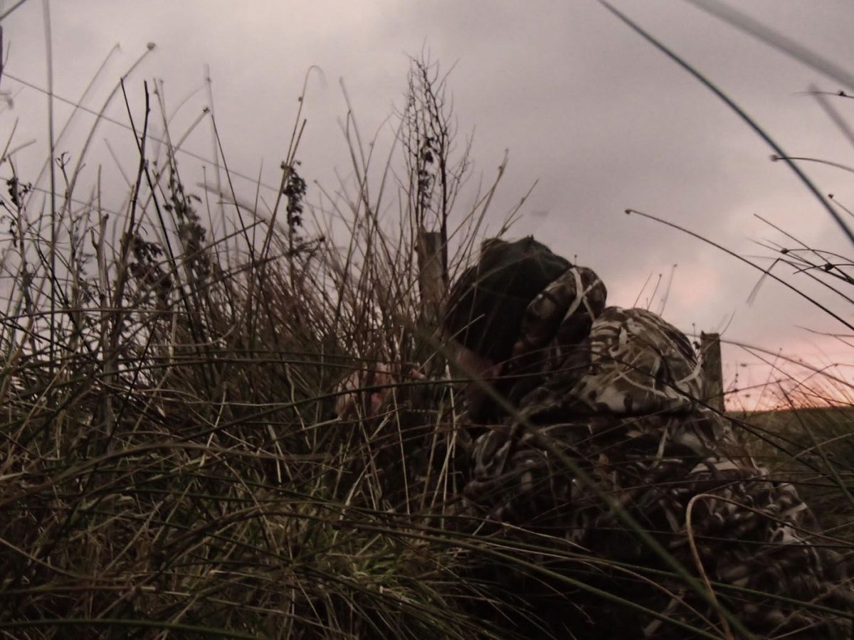 Voyage organisé de chasse à l'oie et au canard en écosse