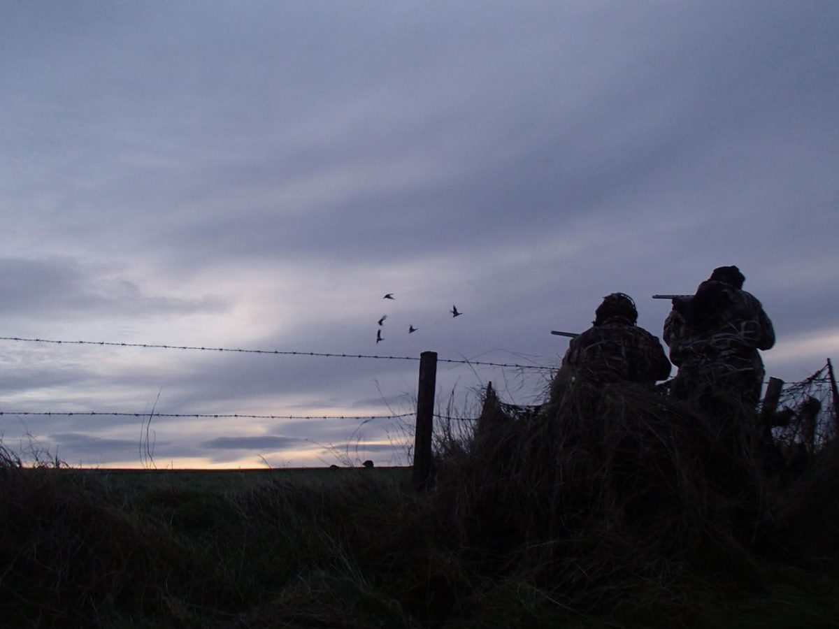 Voyage de chasse clef en main en Ecosse