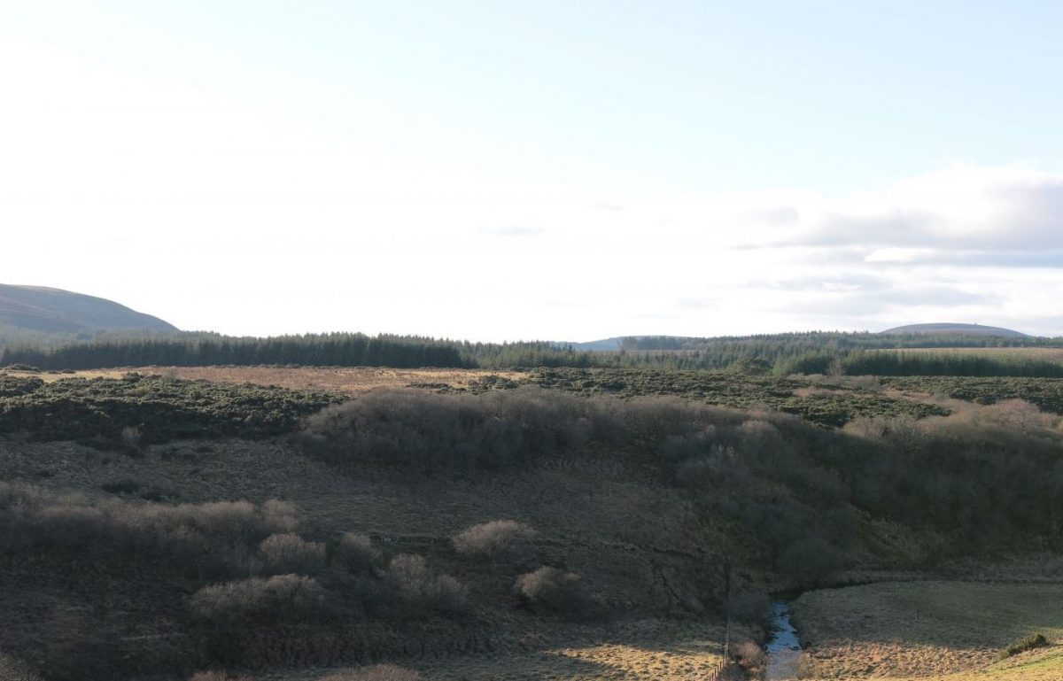 Paysage écossais