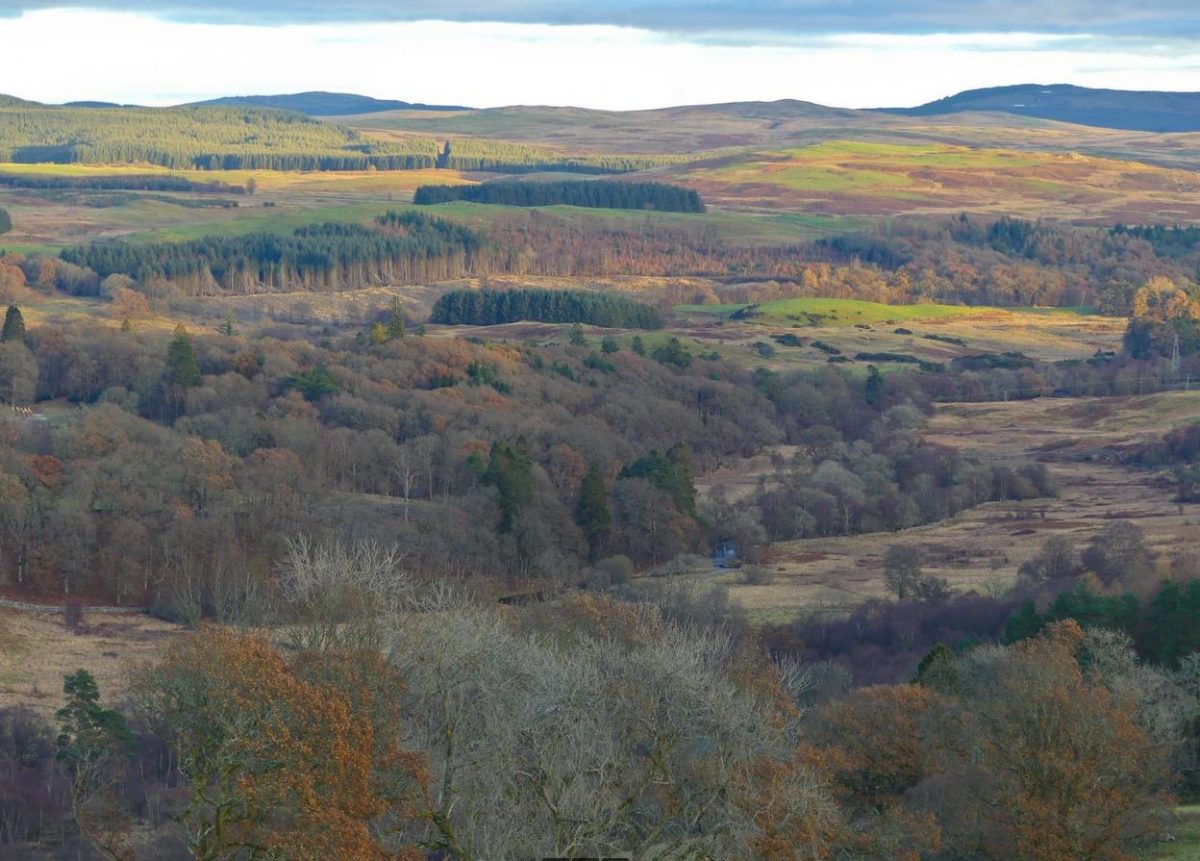 Paysage écossais