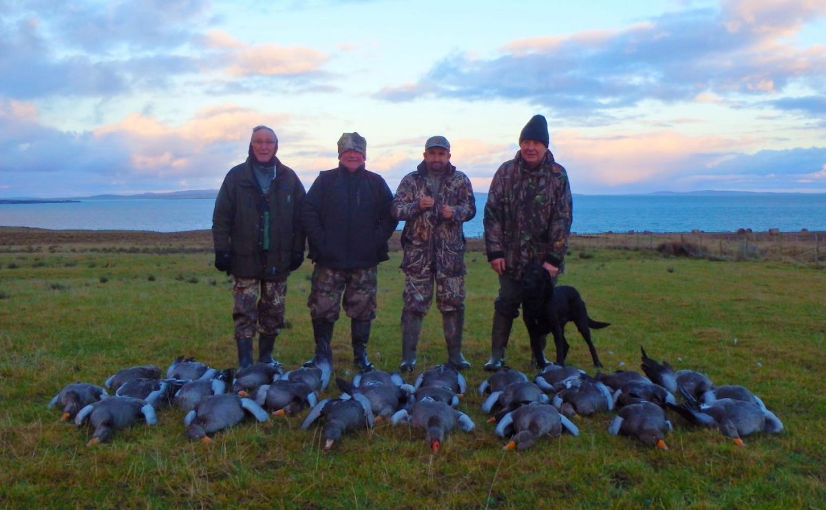 petit giber en Ecosse