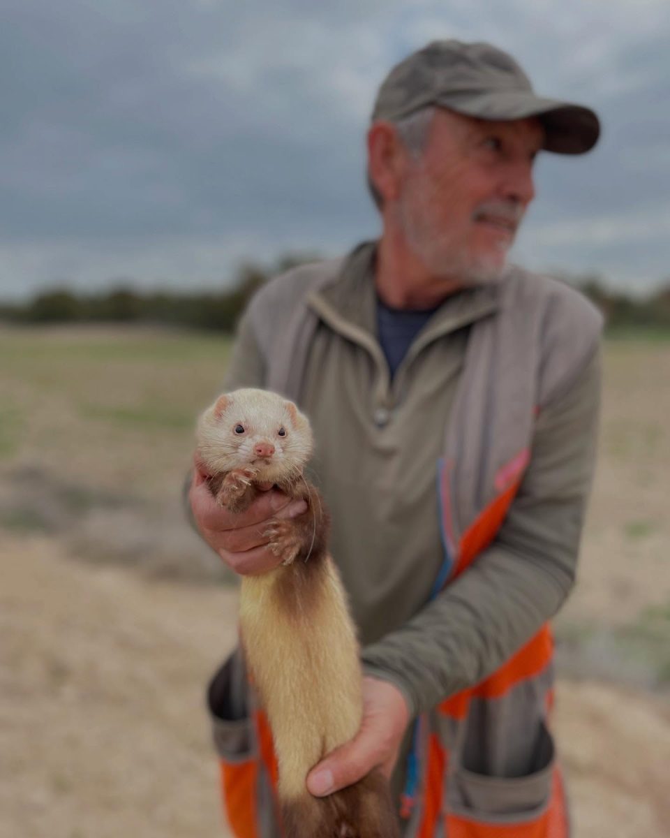 Chasse Perdreaux et Lapins en Espagne - Secteur Saragosse – Image 9