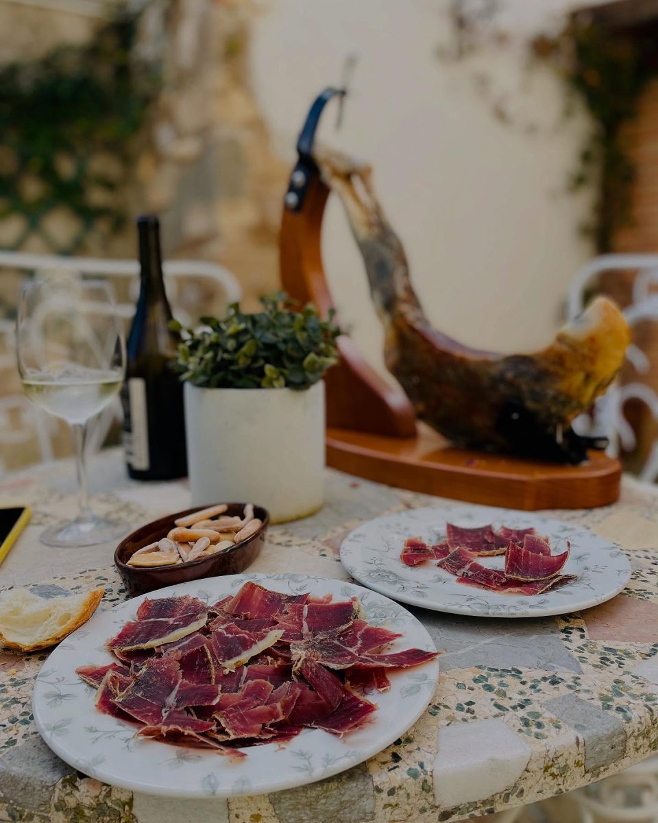 Chasse Perdreaux et Lapins en Espagne - Secteur Saragosse – Image 10