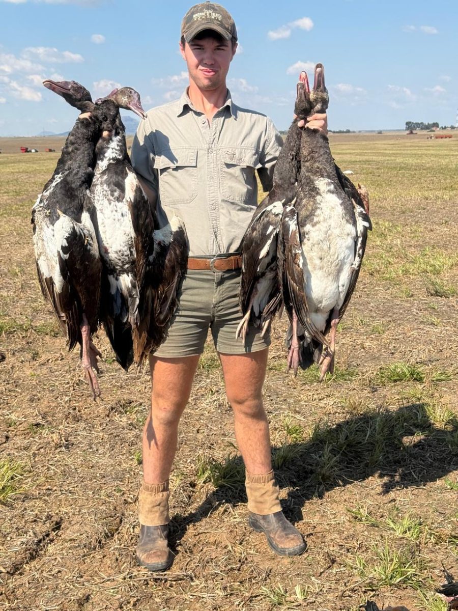 Séjour Oies Canards Pigeons en Afrique du Sud – Image 2