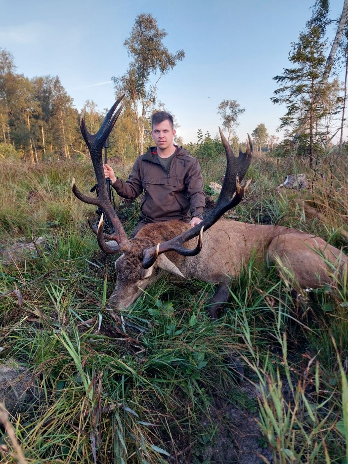 Chasse du cerf au Brame
